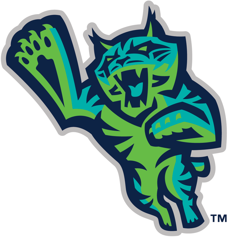 Lynchburg Hillcats 2017-Pres Alternate Logo iron on paper